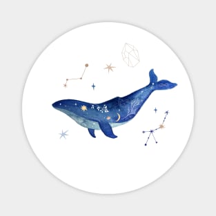 blue whale swimming in the ocean Magnet